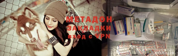 индика Алексин