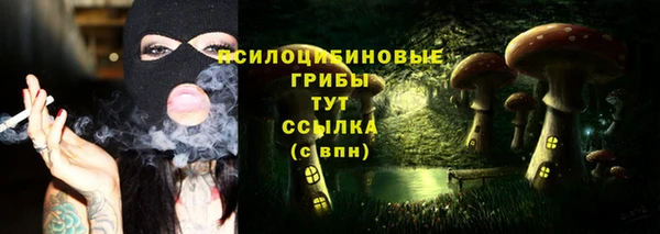 винт Абаза