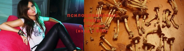 винт Абаза