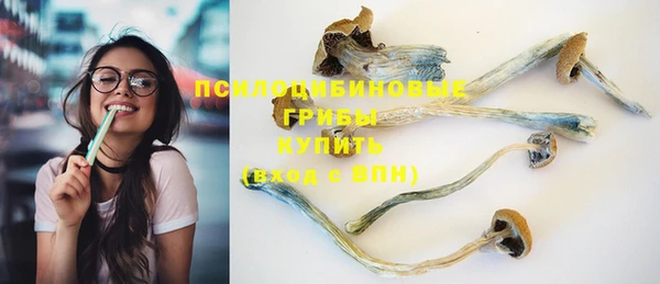 трава Алзамай