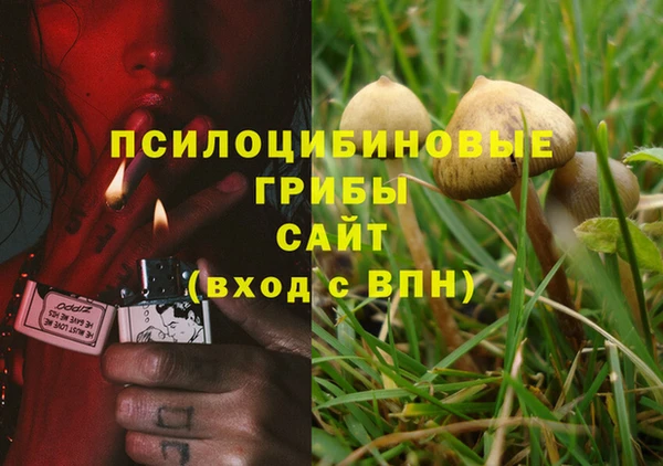 трава Алзамай