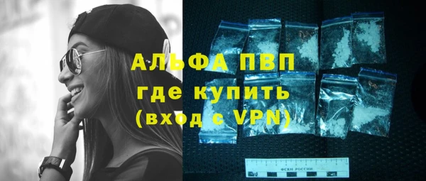 индика Алексин