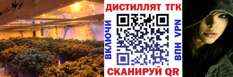 это клад  Новоалександровск  ТГК концентрат 