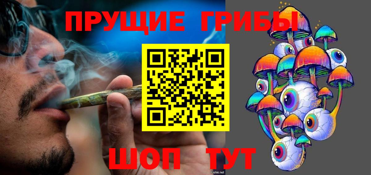 Новоалександровск  Псилоцибиновые грибы мухоморы  Вход с VPN 